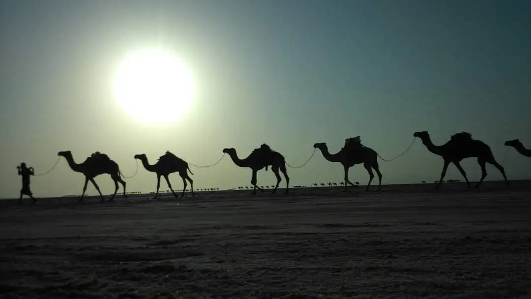 4 Day Danakil Tour in Ethiopia