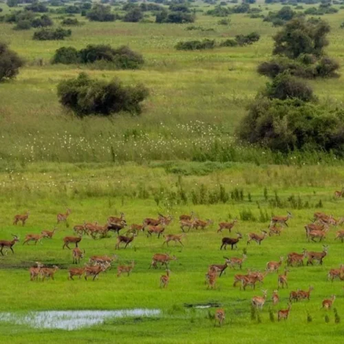 Omo Valley Gambella Tours | 11-Day Wildlife & Culture